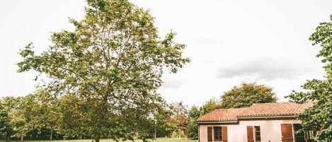 Chalet | Property grounds