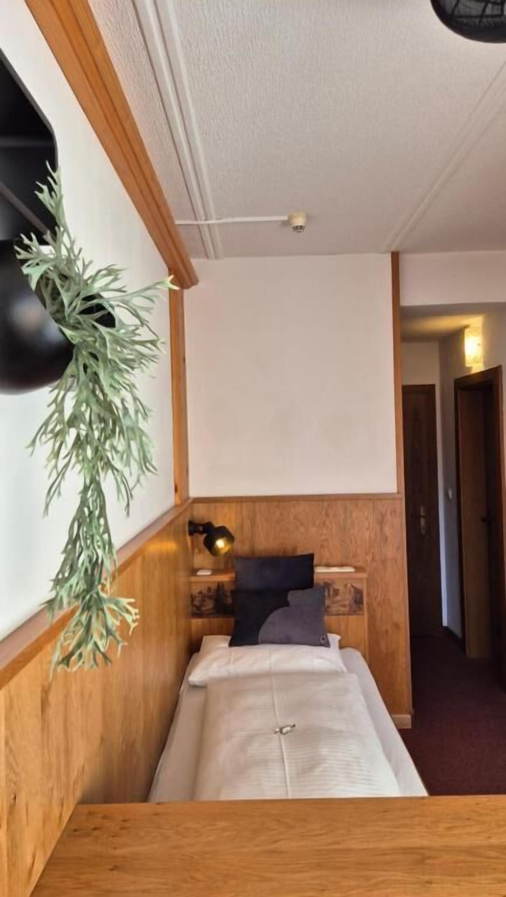 Single Room, Balcony, Mountain View