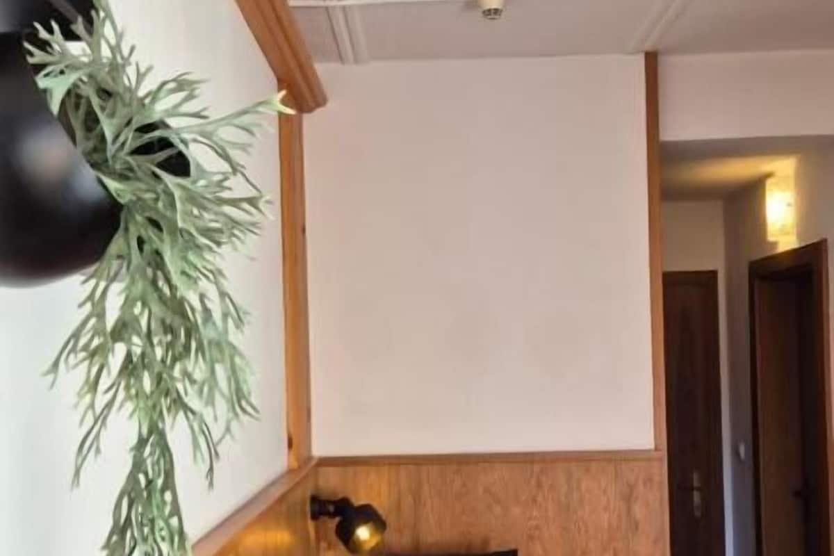 Una habitación pequeña con cama individual, paneles de madera, una lámpara de noche y una planta colgante.