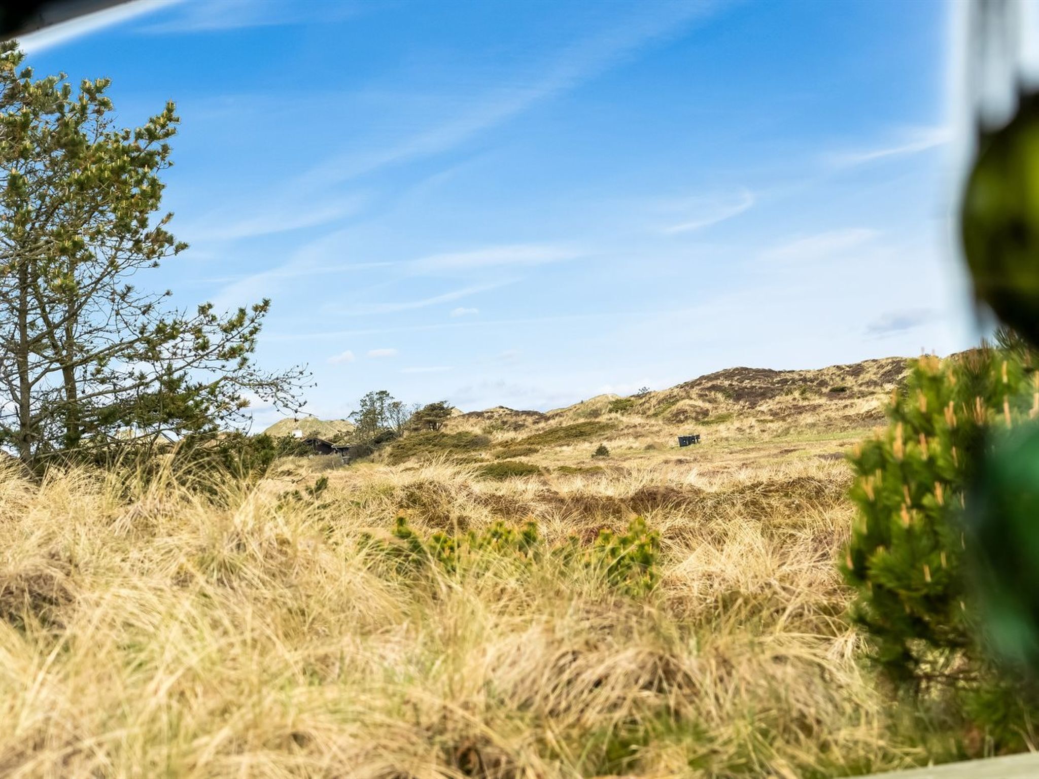 Un paysage aride et herbeux, avec une végétation clairsemée et un ciel dégagé.