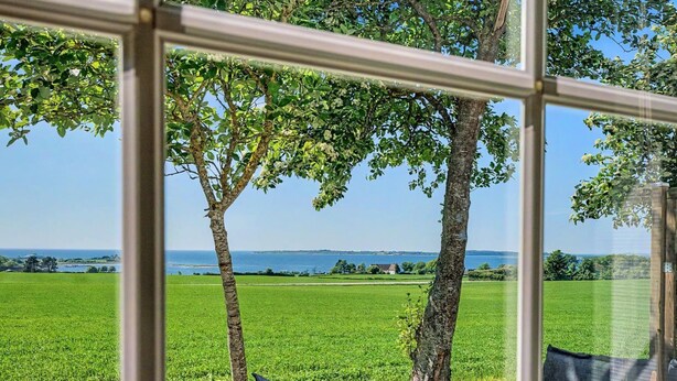 En vy genom ett fönster med en träbänk och två träd, med utsikt över en grön äng och en vattenyta.
