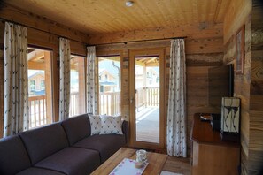 TV connectée, cheminée, lecteur de DVD, livres