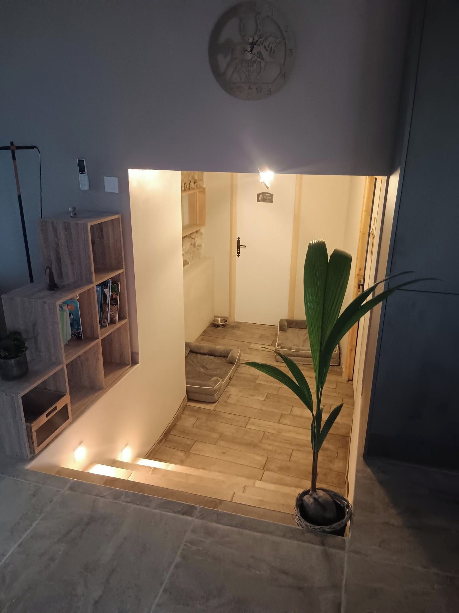 Een kamer met een houten vloer, een potplant, een plank met boeken en een wandklok.