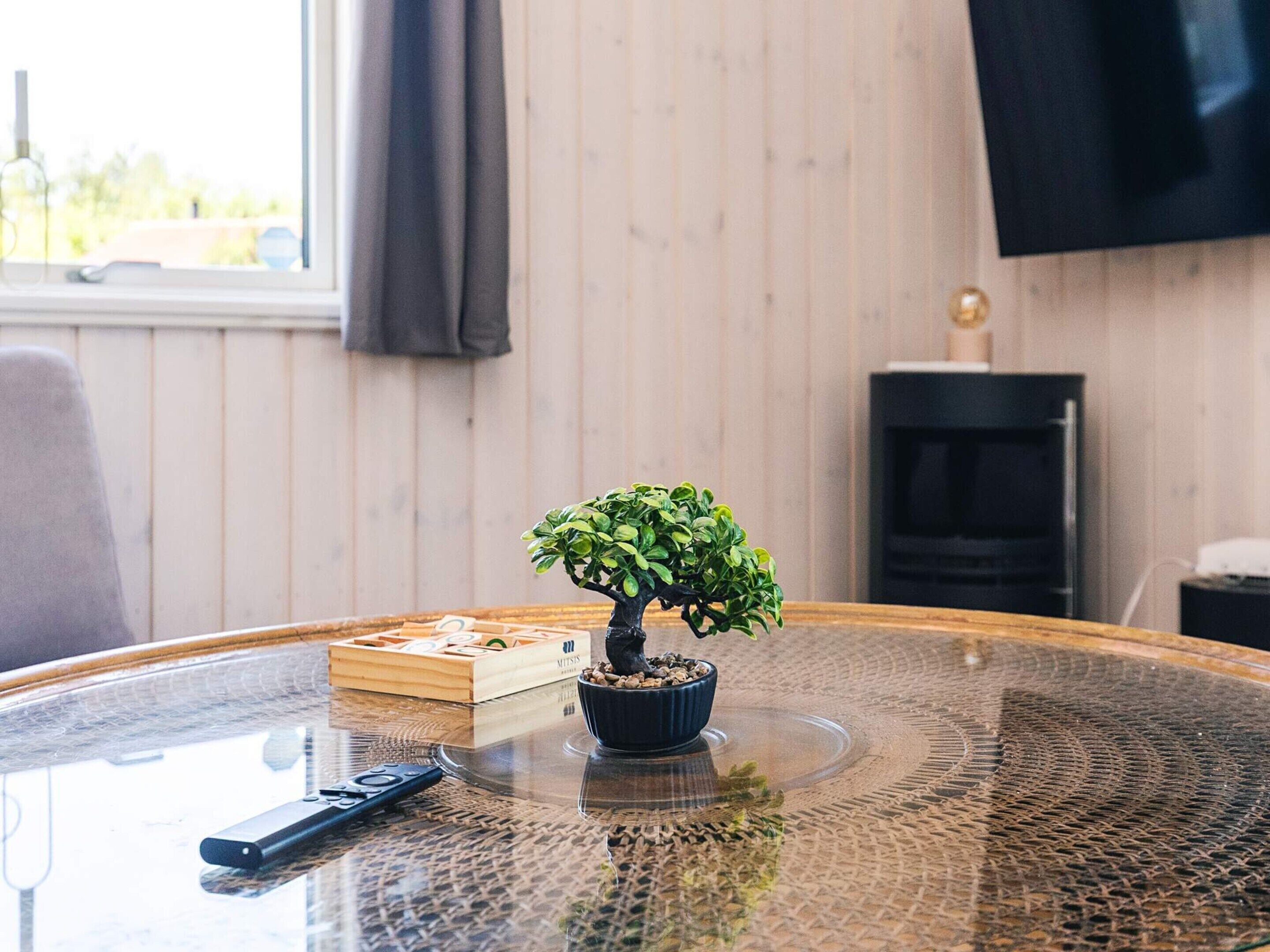 A round glass table with a bonsai tree, a wooden box, and a remote control.