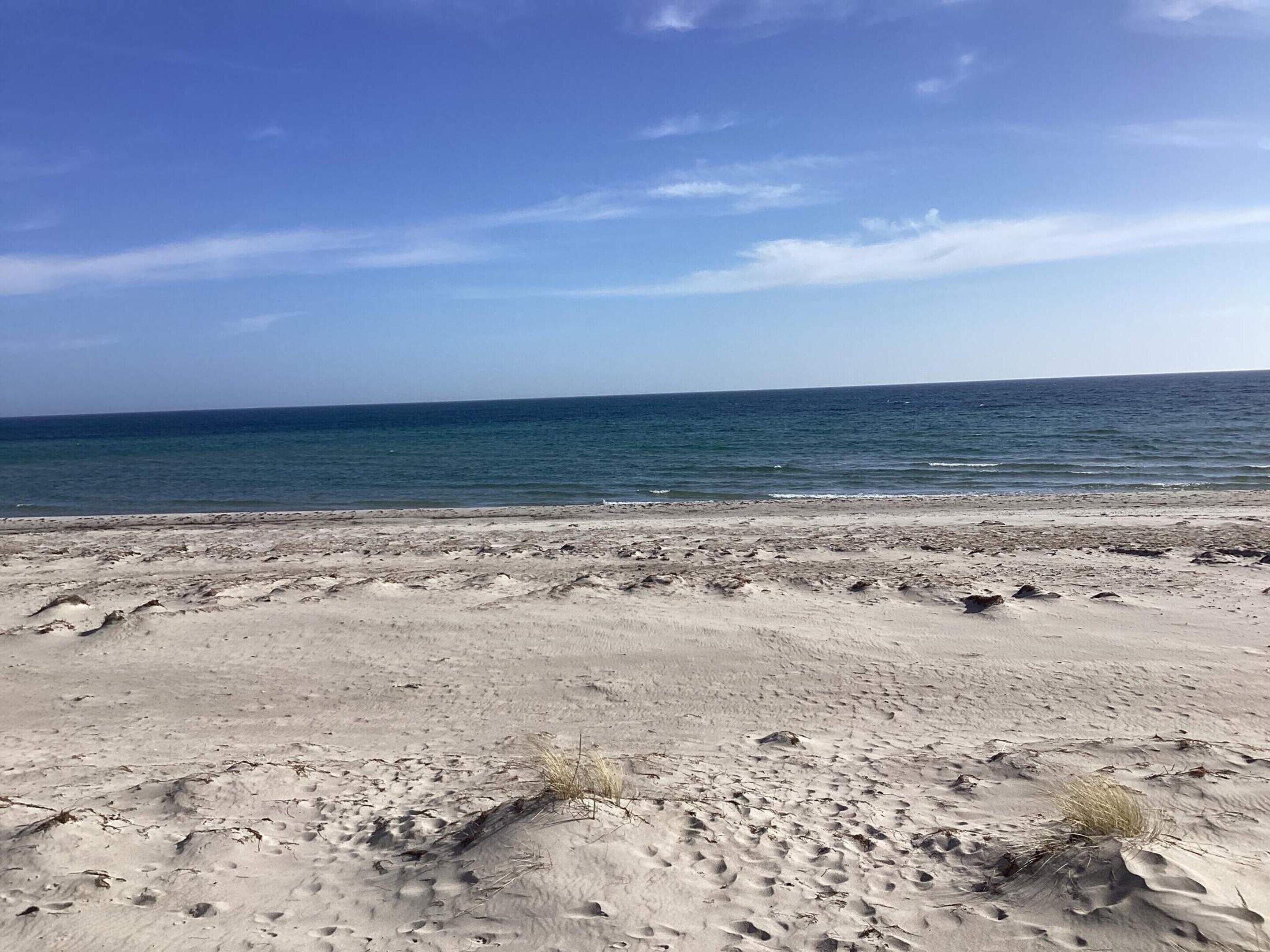 Ein Strand mit blauem Himmel und ruhigem Meer.