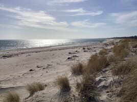 En strand med sand og sparsom vegetation.