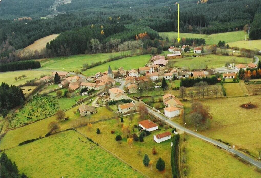 An aerial view of a village with houses, roads, and fields.