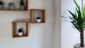 A wall with three wooden shelves, each holding a potted plant. - Charming lodging near Lille - 2 guests (SAINGHIN EN WEPPES)