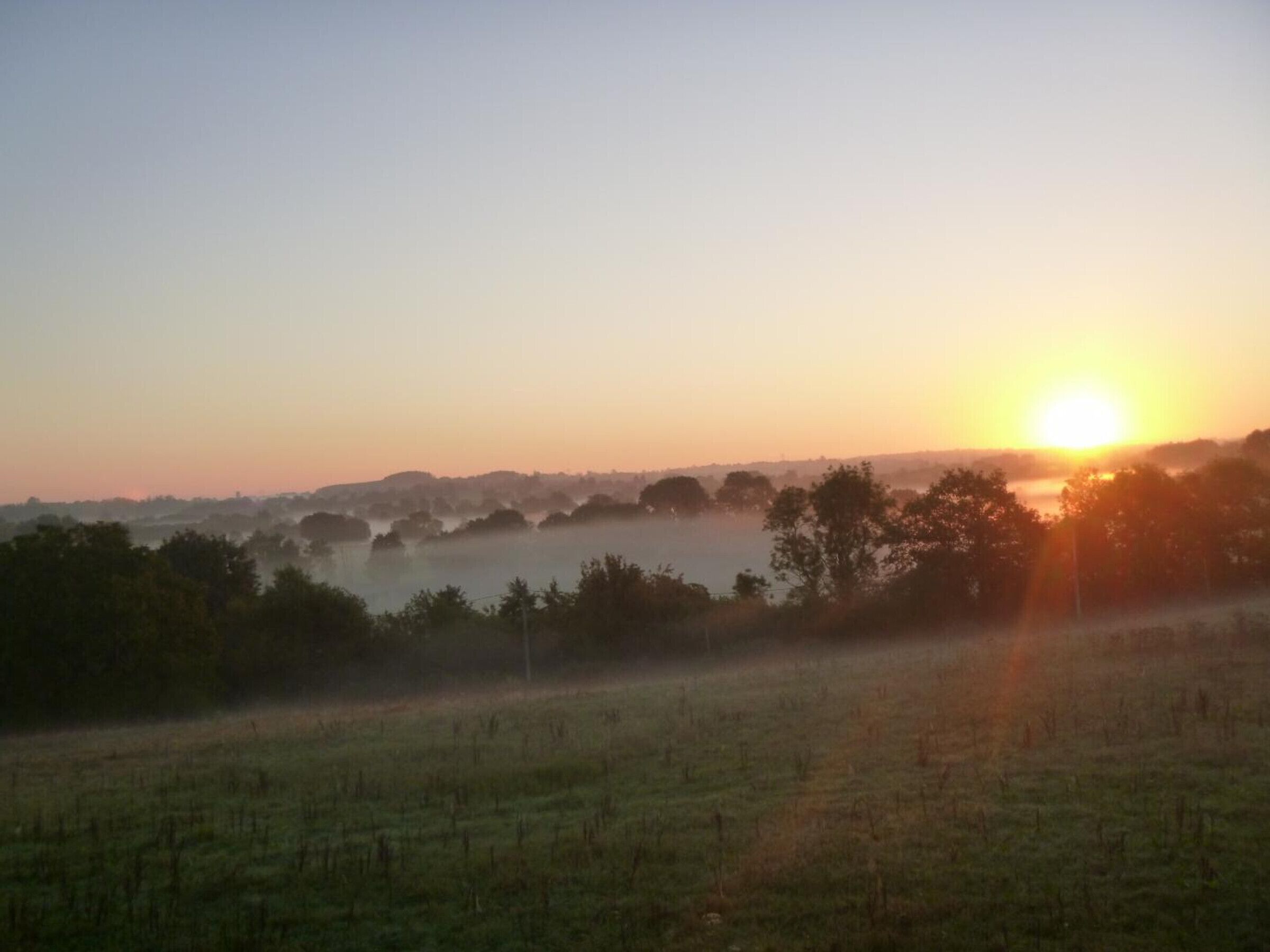 Un lever de soleil sur un paysage brumeux, avec des arbres et un champ.