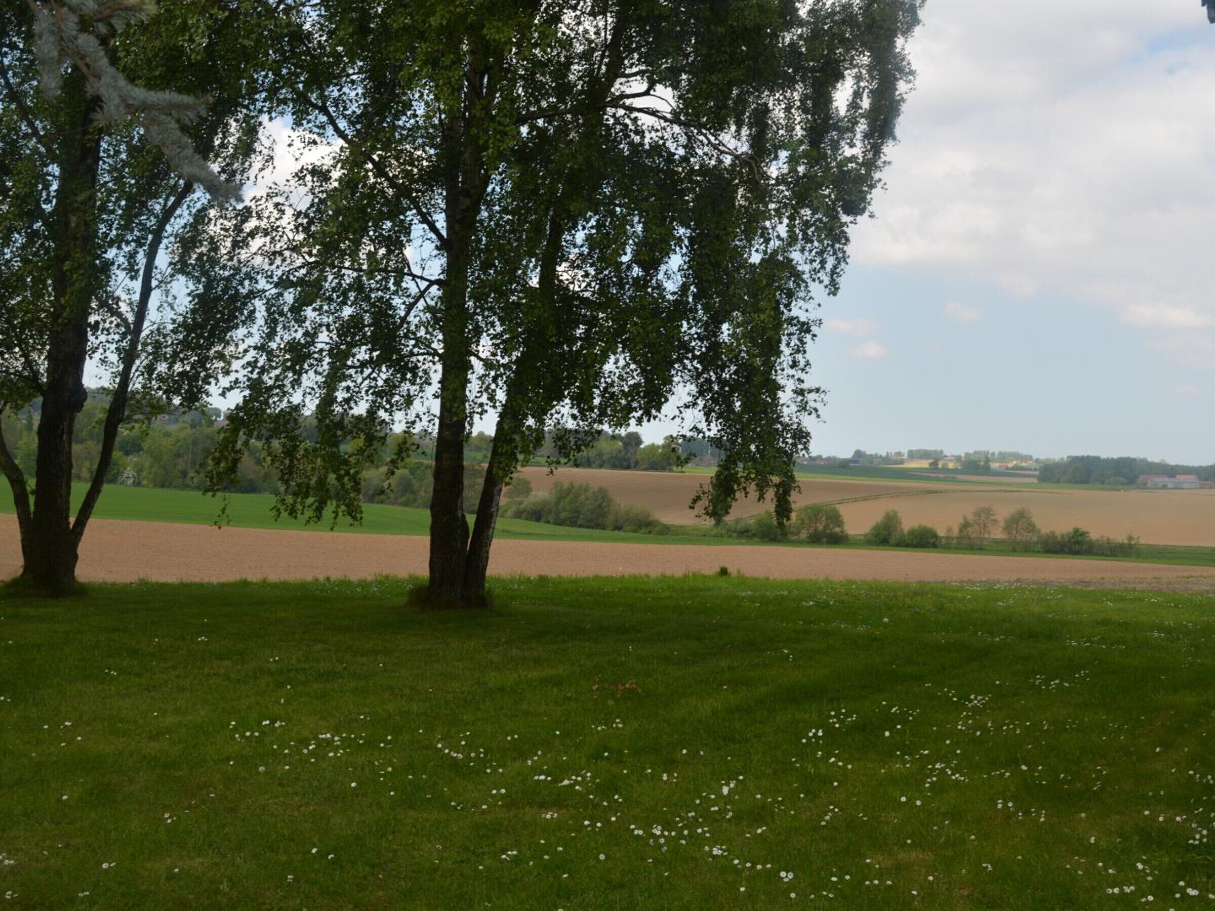 Een landelijk landschap met bomen, open velden en een heldere lucht.