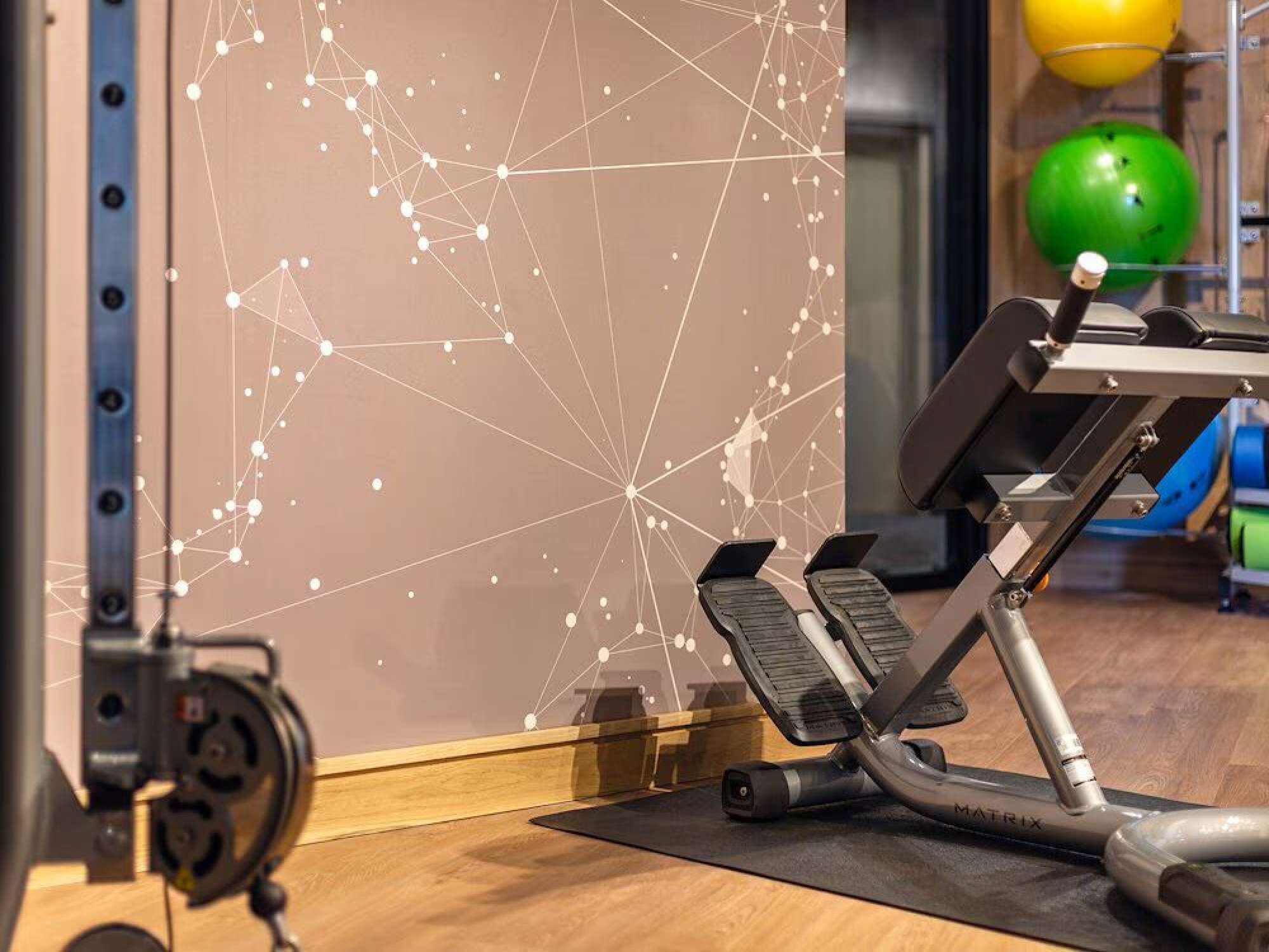 An exercise machine, a wall with a geometric pattern, and a weight rack.
