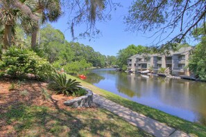 Property grounds - Palmetto Dunes | Beach, Golf, Pool + Full Kitchen (Hilton Head)