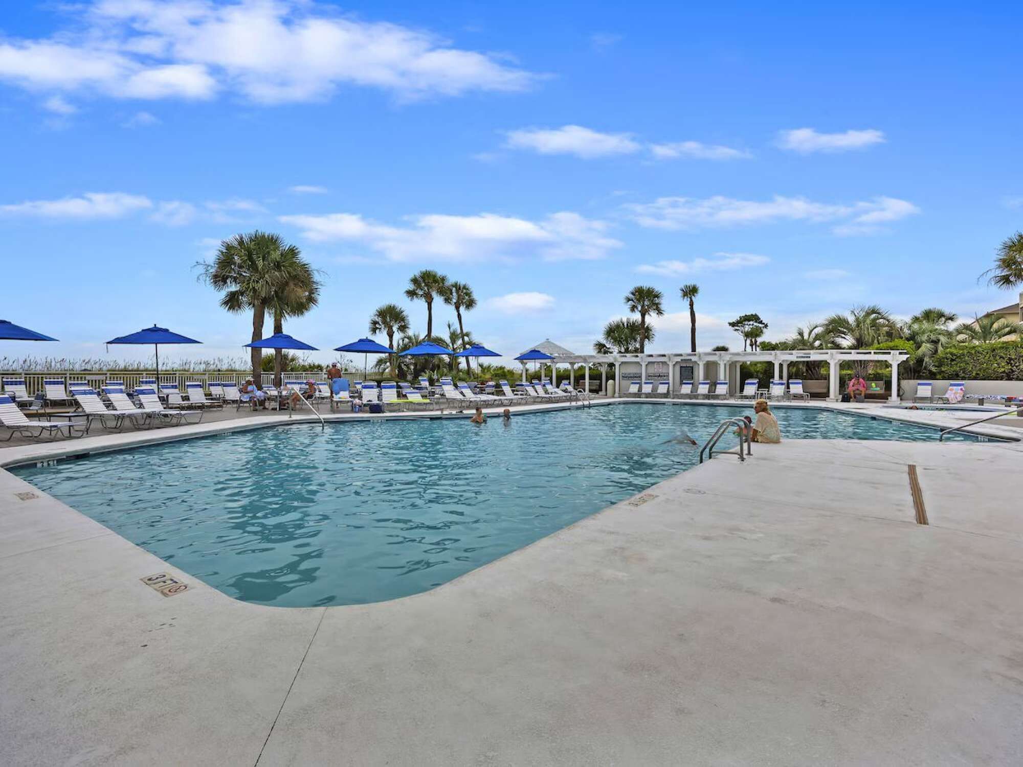 A swimming pool with lounge chairs and umbrellas, surrounded by palm trees.