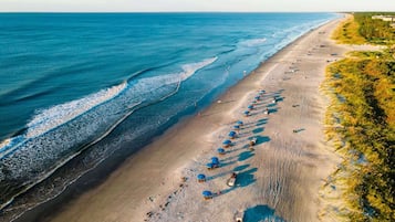 An aerial view of a beach with rows of umbrellas and beach chairs, a sandy shoreline, and the ocean.