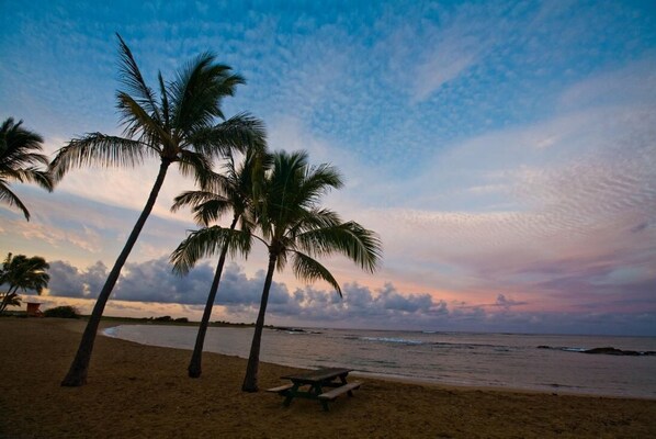 A beach with palm trees and a picnic table. - Prince Kuhio 108 - Spacious, A/C, close to beach (Koloa)