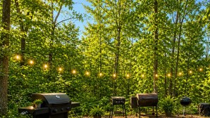 Un patio trasero con una parrilla, luces colgantes y una planta en maceta.