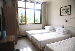 Basic Triple Room