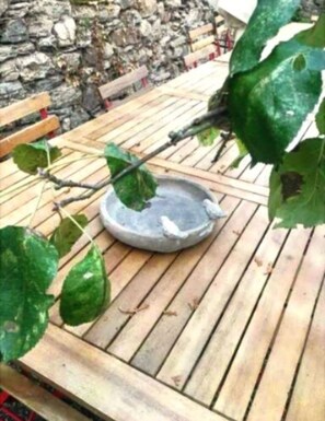 Outdoor dining - Vrbo Property (Lorch)