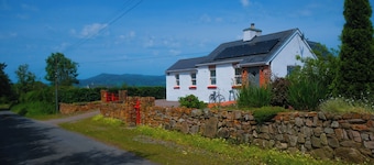 Bridge's Cottage - Hot tub - Plunge Pool
