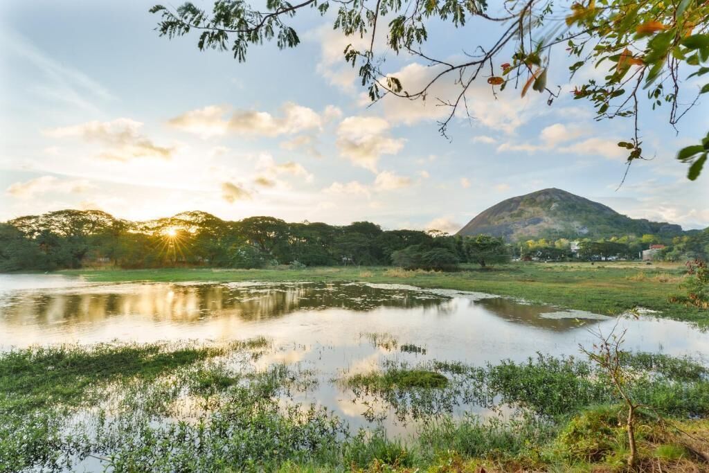 Un paysage paisible avec une étendue d’eau, de la végétation et une colline en arrière-plan.