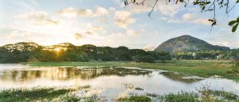 A serene landscape with a body of water, greenery, and a hill in the background.