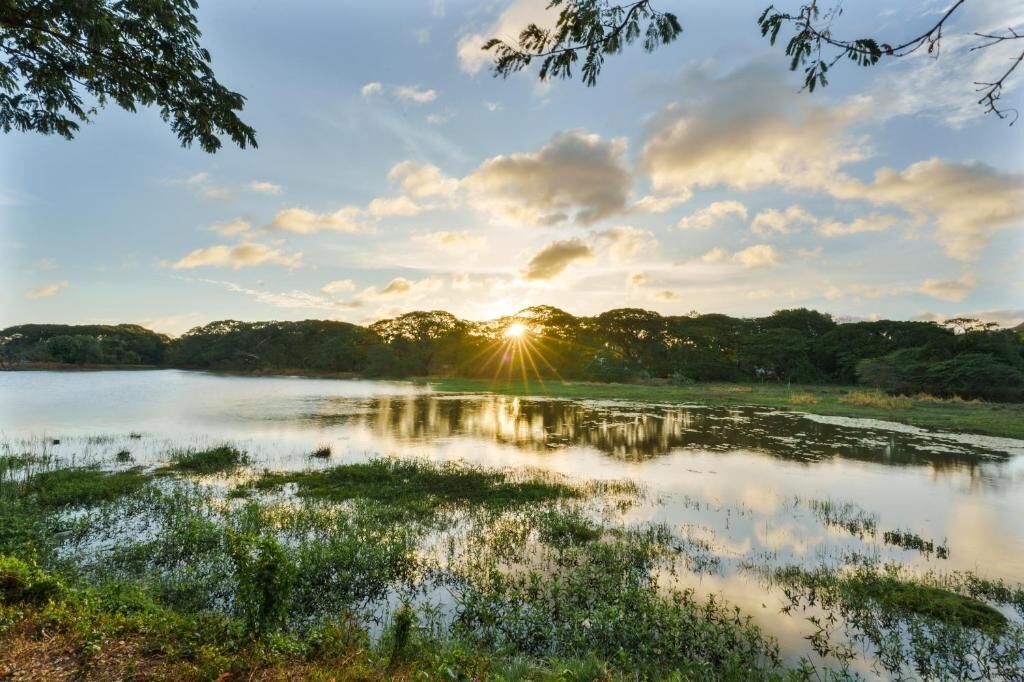 A serene lake with trees in the background and a clear sky.