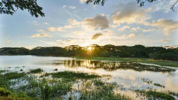 A serene lake with trees in the background and a clear sky.