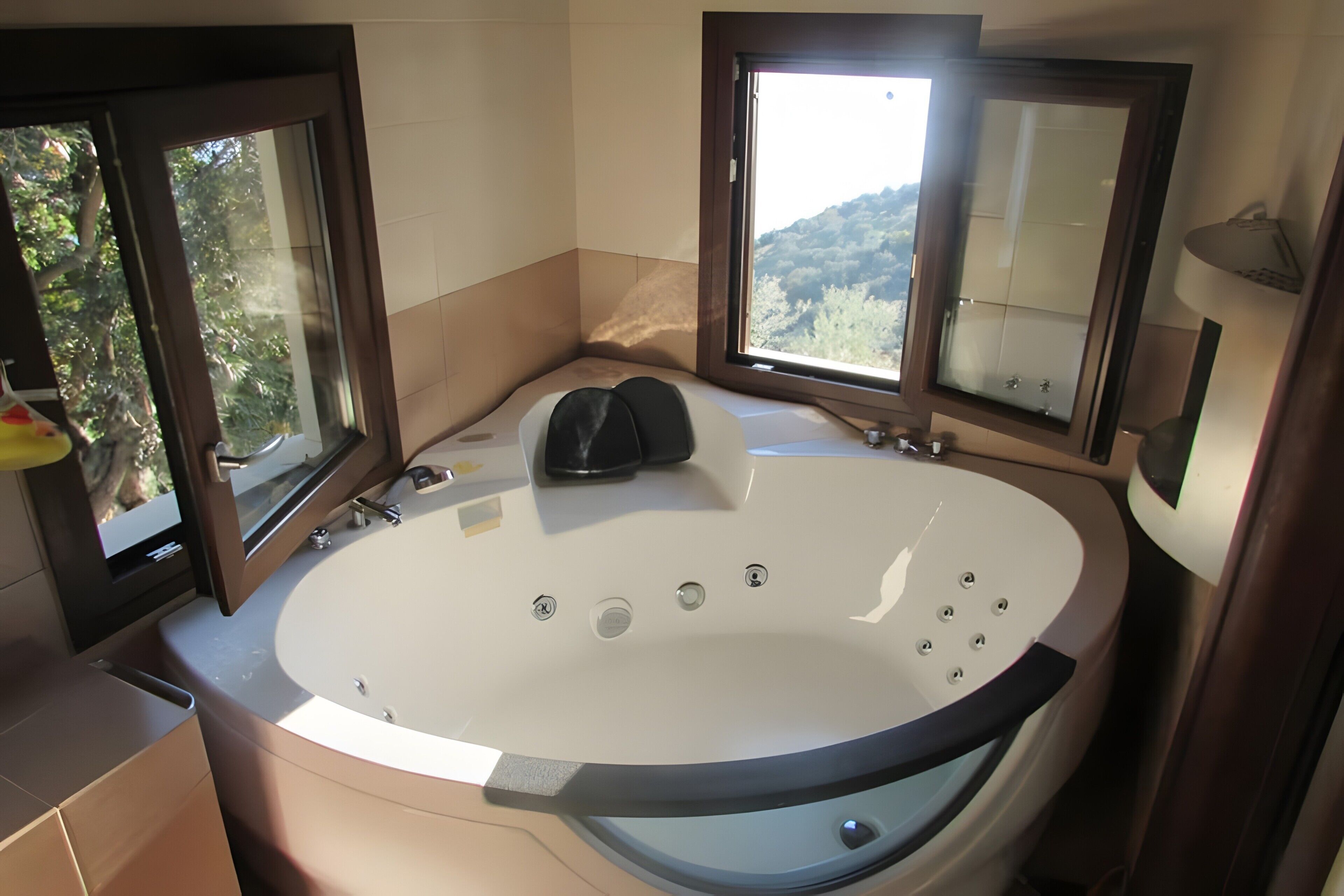 Une salle de bain dotée d’une grande baignoire, de deux fenêtres et offrant une vue sur l’extérieur.