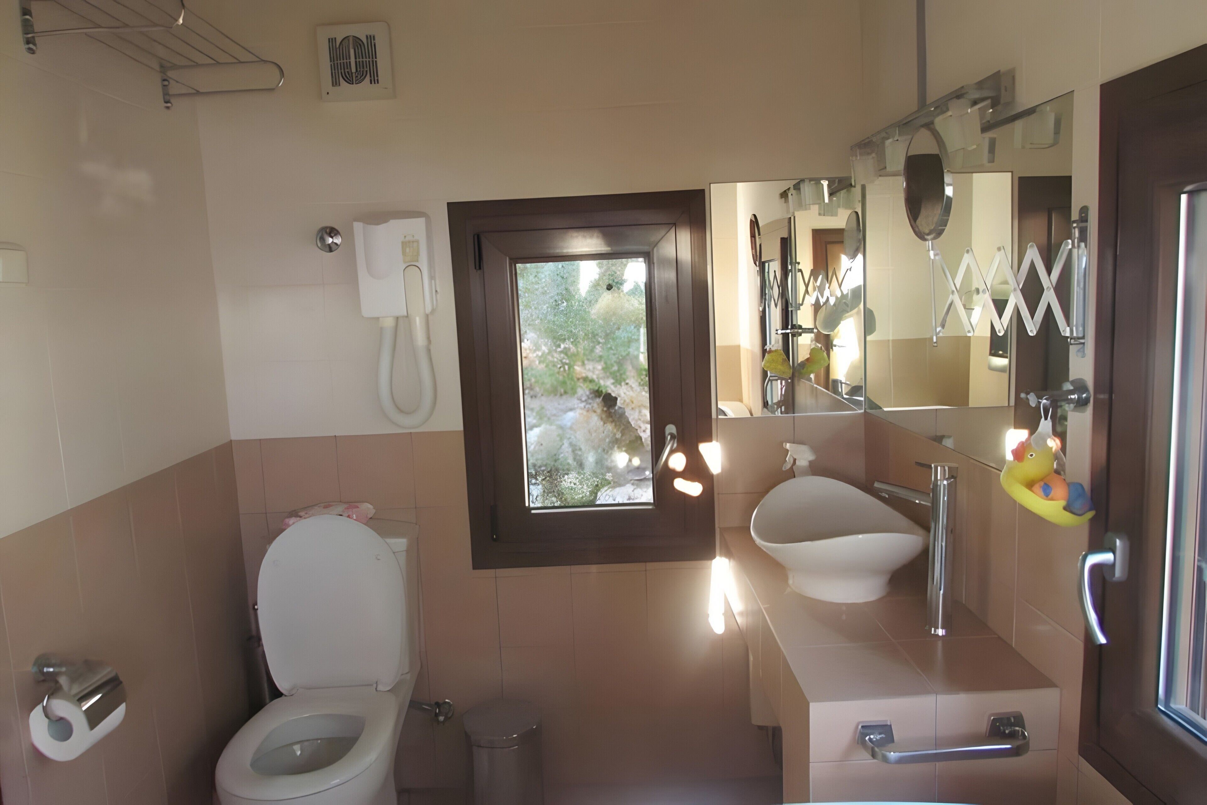 A bathroom with a toilet, sink, and window.