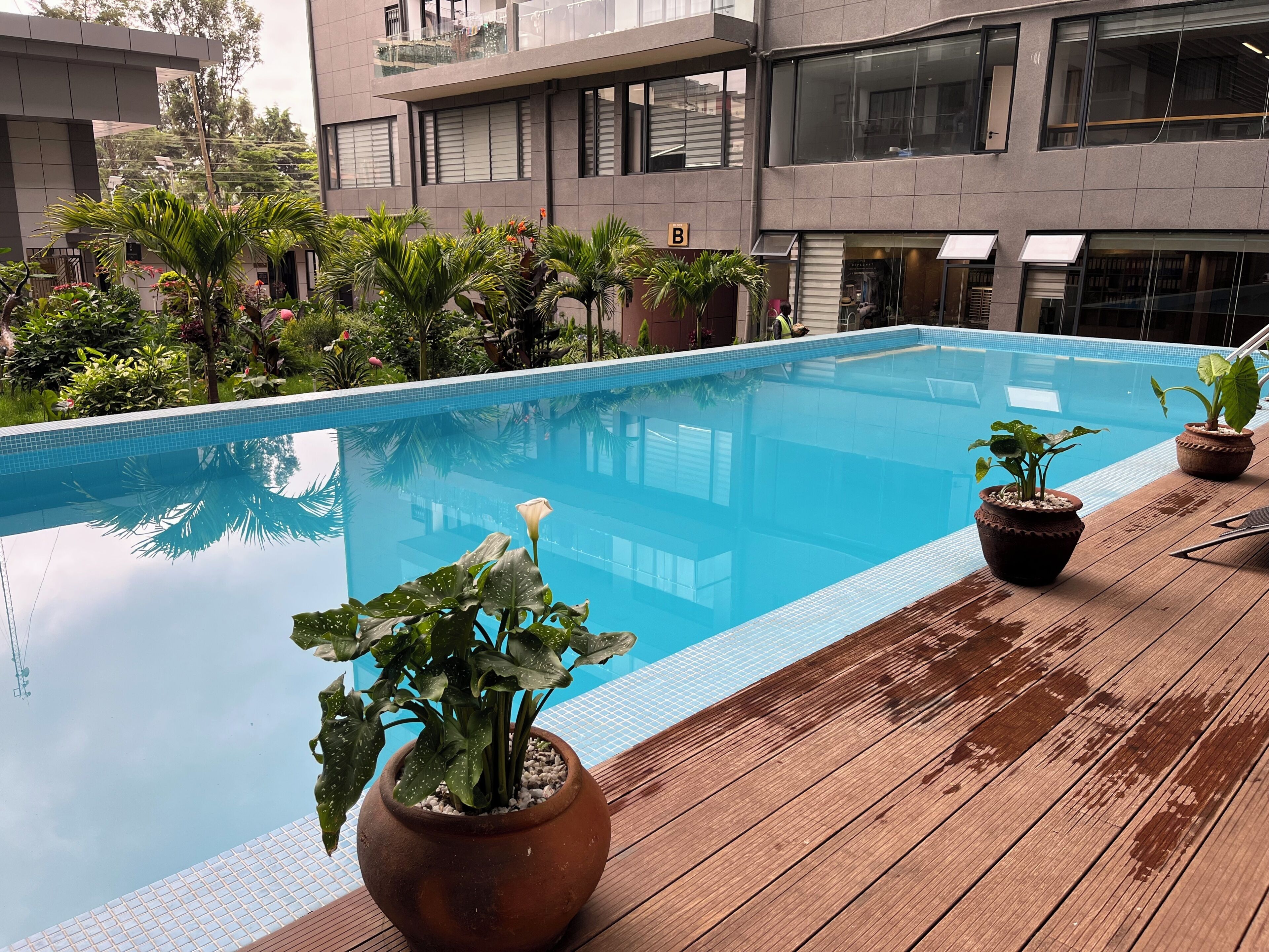Ein modernes Gebäude mit Schwimmbad, Topfpflanzen und einer Holzterrasse.