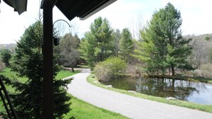 A pathway leading to a pond surrounded by trees, with a covered area in the foreground.