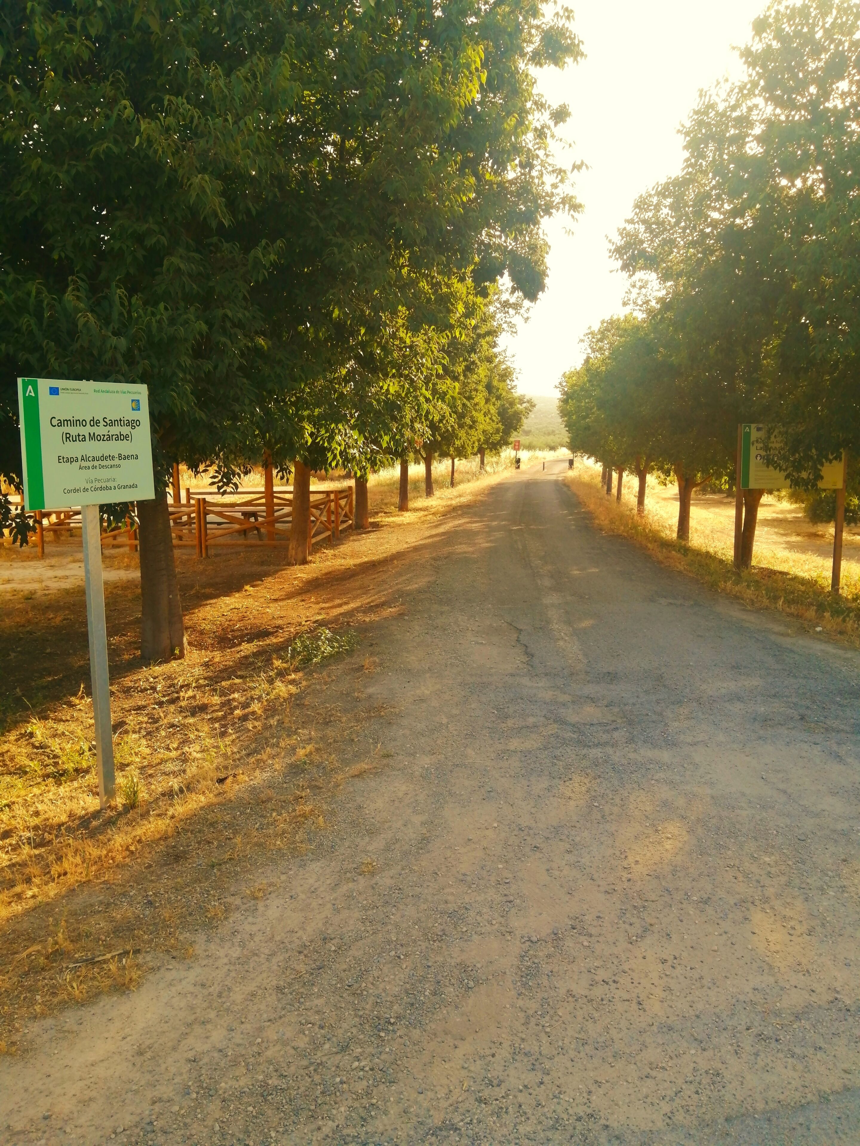 A dirt road flanked by trees and signs indicating a hiking trail.