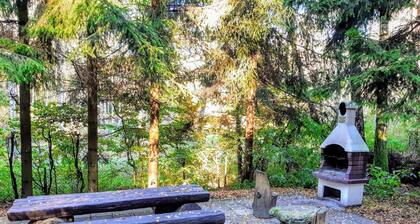 Large House With Private Sauna, Close to the Lake