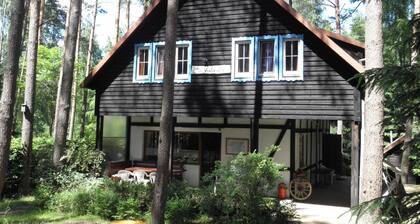 Large House With Private Sauna, Close to the Lake