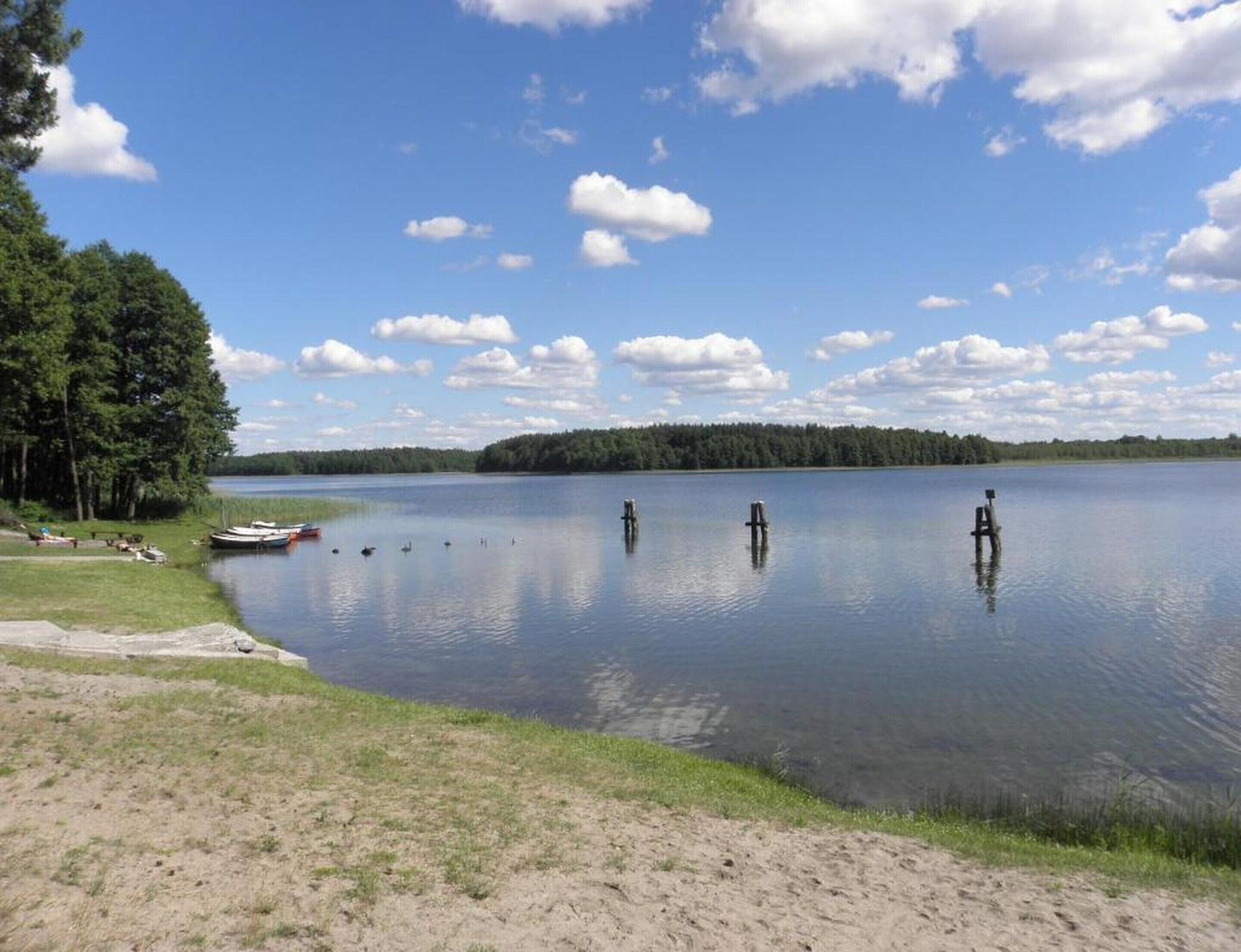 Un lago tranquilo con barcos, una orilla arenosa y un bosque al fondo.
