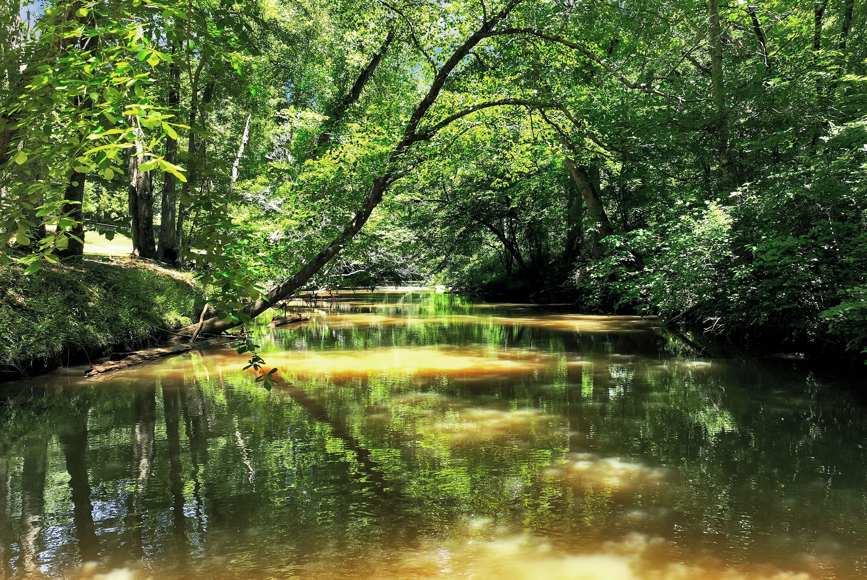 Beautiful River 