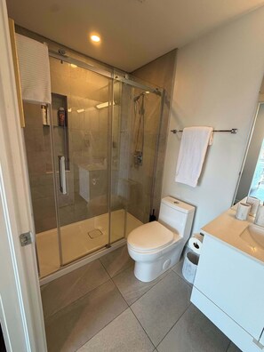 Shower, hair dryer, shampoo - 2 BR and 2 Bath downtown with panoramic view of city! (Halifax)