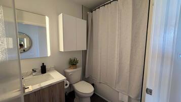 Shower, hair dryer, shampoo