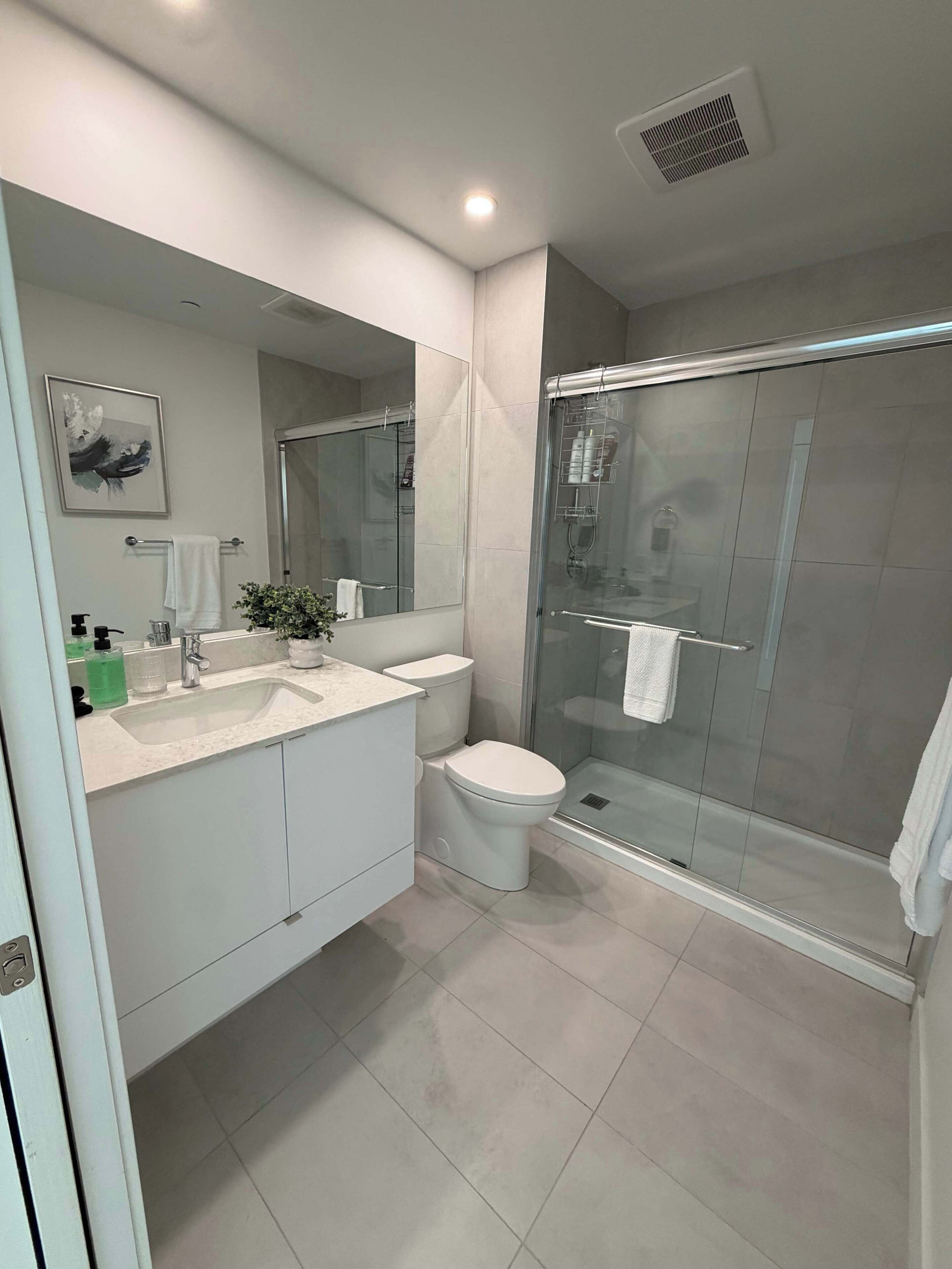 Shower, hair dryer, shampoo