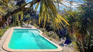 Ein rechteckiger Swimmingpool mit Holzterrasse, umgeben von tropischen Pflanzen und einer Steinmauer.