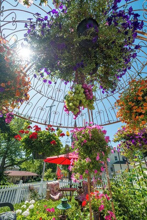 A garden with a metal trellis structure supporting various plants and flowers.
