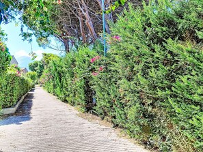 Ein gepflasterter Weg, gesäumt von dichtem Grün, der zu einer entfernten Struktur führt.