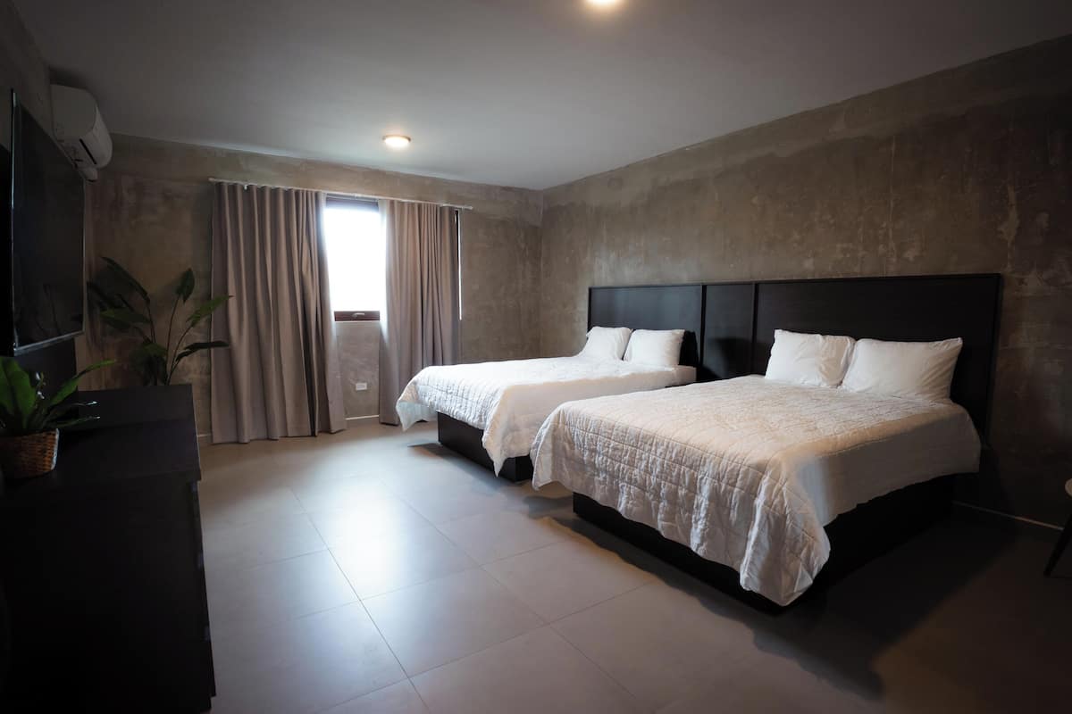 Habitación de hotel con dos camas, un televisor, una planta y un amplio ventanal con cortinas.