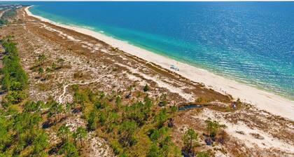 Salty Dog | Golf Cart • Bikes • Beach Access