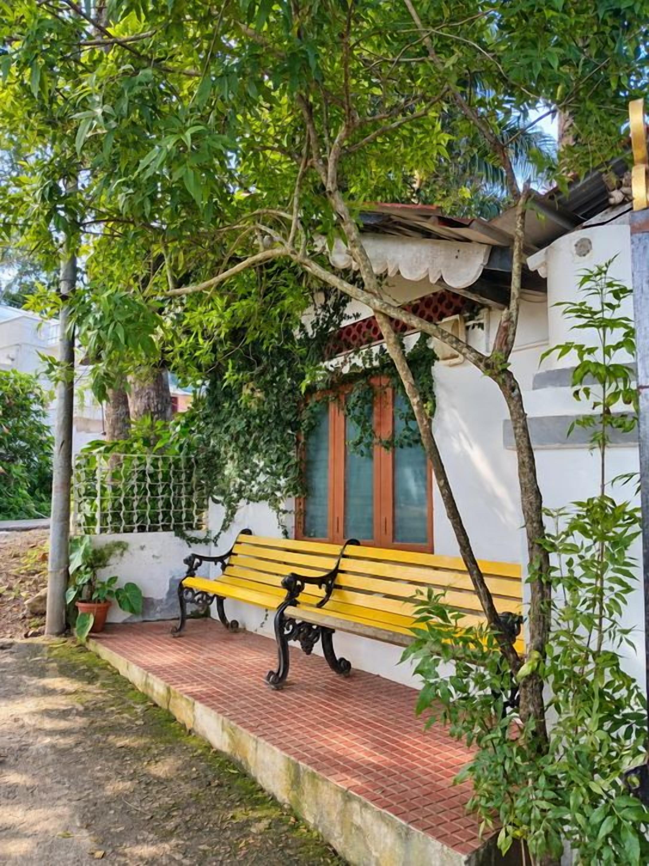 Un banco bajo un árbol, un edificio blanco con una ventana y un camino de ladrillo.