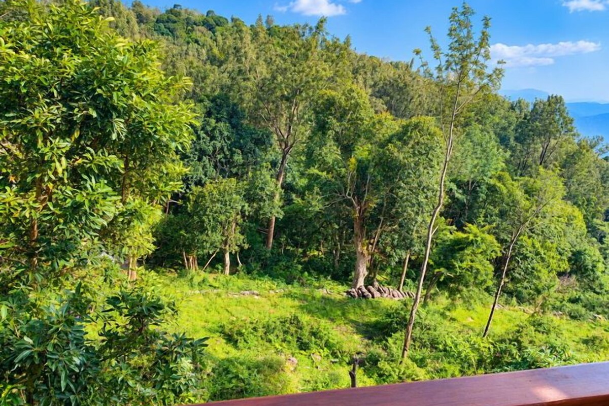 Un paisaje verde y exuberante con árboles y una barandilla de madera.