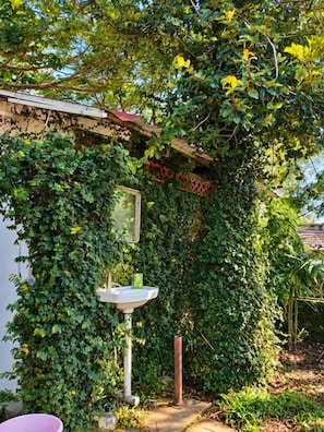 Un jardín con un lavamanos blanco sobre pedestal, un tazón rosa y un espejo en una pared cubierta de follaje verde.