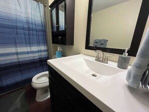 Interior - Downtown 1st Floor Apt Walk to Breweries, Food (Roanoke)