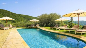 A swimming pool with lounge chairs and umbrellas, surrounded by greenery and hills. - Il Guscio by Interhome (Rufina)