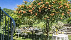 Ein Essbereich im Freien mit Tischen und Stühlen, umgeben von üppiger Vegetation und einem Baum mit orangenen Blüten.